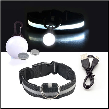 Collier lumineux chien- Lumino Patte | Pattes Museau & Cie™