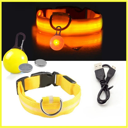 Collier lumineux chien- Lumino Patte | Pattes Museau & Cie™