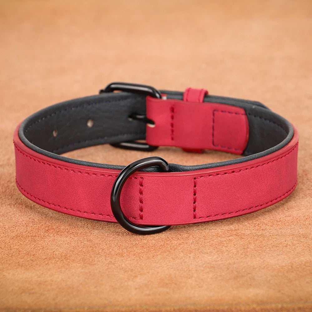 Collier cuir pour chien | La Patte Rebelle™