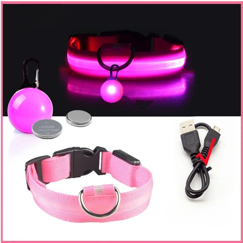 Collier lumineux chien- Lumino Patte | Pattes Museau & Cie™