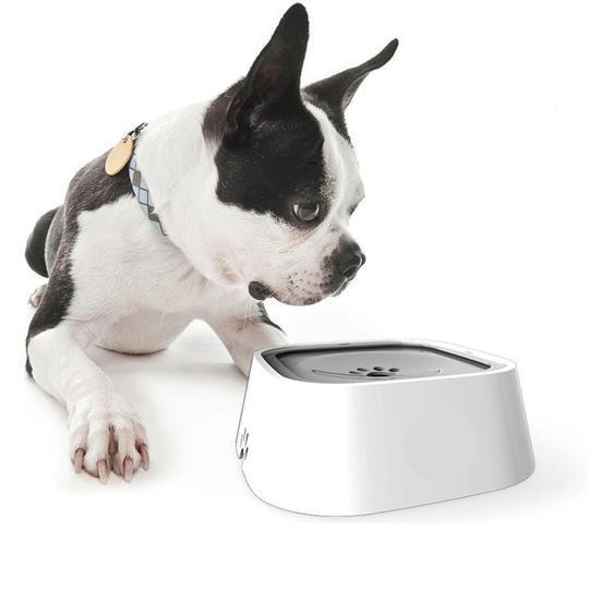 WaterBowl™ | Bol pour chien | CHIEN - Pattes Museau et Cie